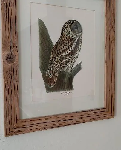 Airhome - Owl's Nest 2 * Tallin